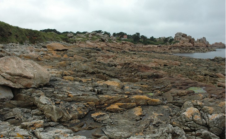 Ploumanac'h - Estran rocheux de gneiss lités  (2 Ga) entre Le Ronalien et l'anse de Pors-Rolland - © M.CRIVELLARO