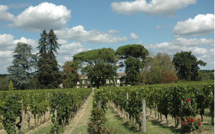 Pomerol - Château Rouget - © Marion CRIVELLARO