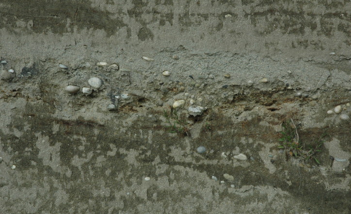 Pont-de-Beauvoisin, Isère. Gros plan sur les molasses (sables, graviers, argiles).  © M.CRIVELLARO