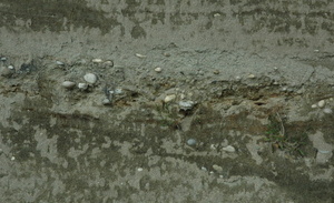 Pont-de-Beauvoisin, Isère. Gros plan sur les molasses (sables, graviers, argiles).  © M.CRIVELLARO