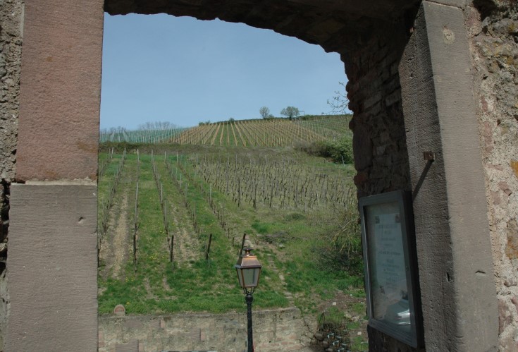 Riquewihr - Passage vers les vignes - © M.CRIVELLARO