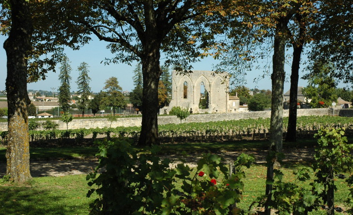 Saint-Emilion - Vignobles du Château Clos Fourtet Premier Grand Cru Classé de Saint-Emilion - © M.CRIVELLARO