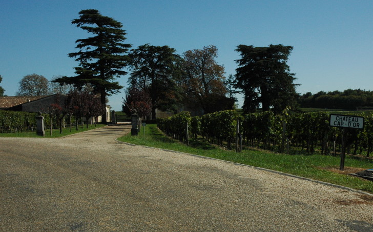 Saint-Georges- Saint-Emilion -  Château Cap-d'Or  - © M.CRIVELLARO