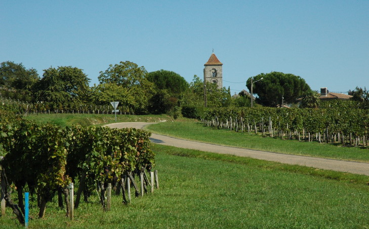 Saint-Georges-Saint-Emilion -  Le vignoble à l'entrée du village de Saint-Georges - © M.CRIVELLARO