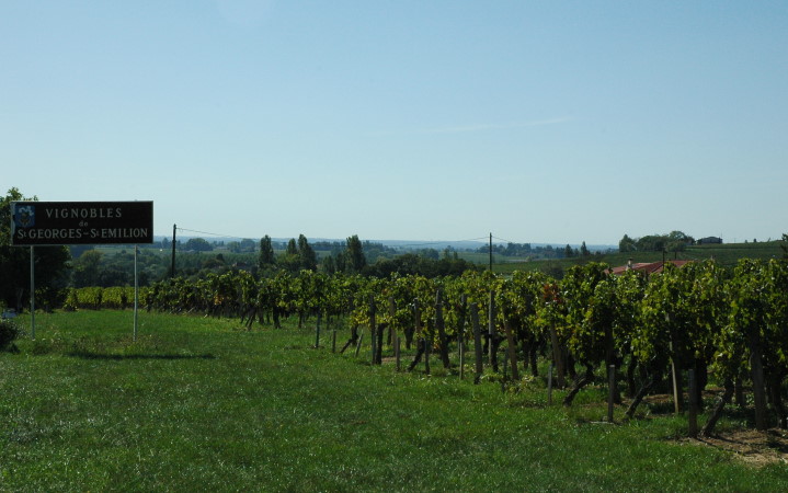 Saint-Georges- Saint-Emilion -  Vignoble sur sol argilo-calcaire -  © M.CRIVELLARO