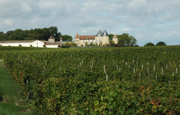 Sauternes - Vignoble du Château d'Yquem - © M.CRIVELLARO