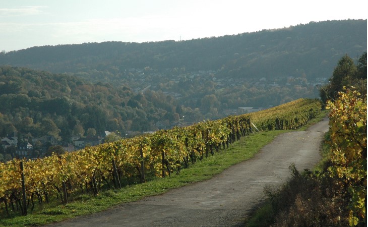 Sierck-les-Bains - Vue vers la vallée de Montenach depuis le Mont Stromberg -  © M.CRIVELLARO