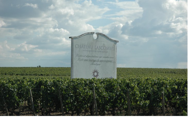 Soussans -  Vignobles sur la croupe de Château Lascombes, A.OC Margaux, Classé Grand Cru -  © M.CRIVELLARO
