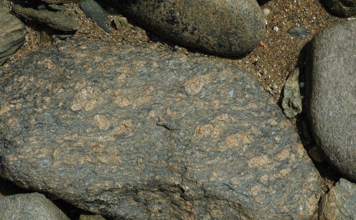 Trébeurden - Plage de Pors-Raden - Gros plan gneiss icartien oeillé , cristaux de feldspath rose saumon en forme d'oeil. © M.CRIVELLARO