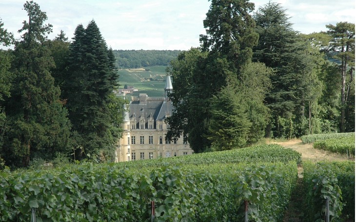Vallée de la Marne - Rive gauche - Boursault - Château Boursault, propriété de la maison Veuve Clicquot -  © M.CRIVELLARO