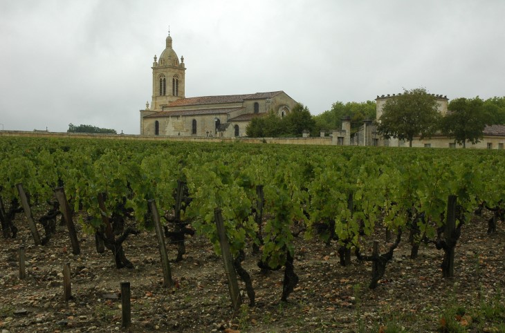 Vignes de Château Margaux sur croupe graveleuse - Altitude 8 à 15 m - © M.CRIVELLARO