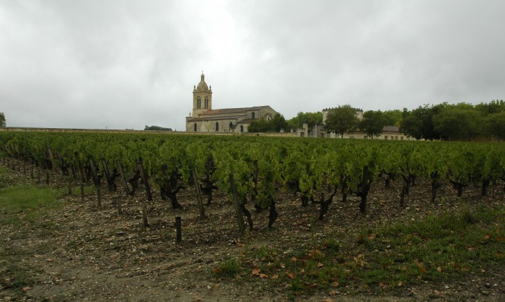 Vignes et église du village de Margaux dans le Médoc - © M.CRIVELLARO
