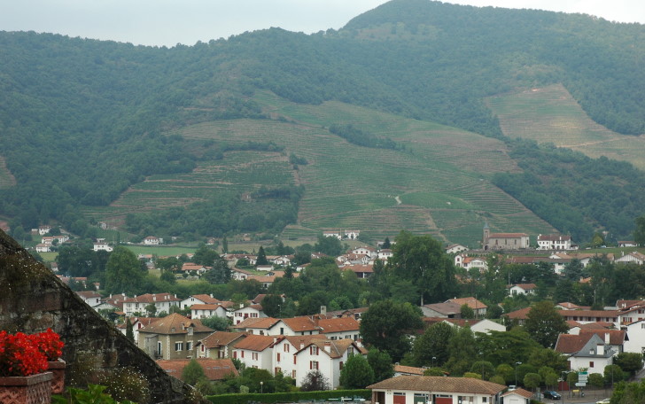 Vignoble d' Irouléguy plantés en terrasses sur les versants pentus au dessus de Saint-Jean-Pied-de-Port - © M.CRIVELLARO
