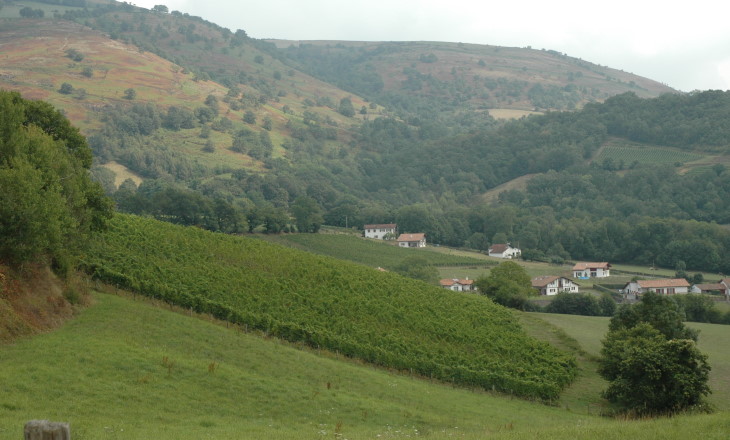 Vignoble d' Irouléguy sur sol de grès rouges - © M.CRIVELLARO Vignoble d' Irouléguy sur sol de grès rouges - © M.CRIVELLARO