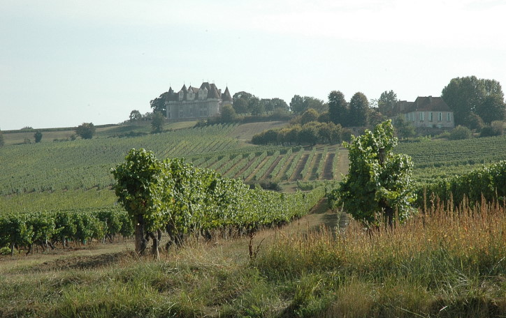 Vignoble de Bergerac au pied du Château de Monbazillac - © M.CRIVELLARO Vignoble de Bergerac au pied du Château de Monbazillac - © M.CRIVELLARO