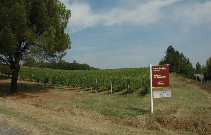 Vignoble de Pécharmant - Château La Renaudie à Lembras - © M.CRIVELLARO