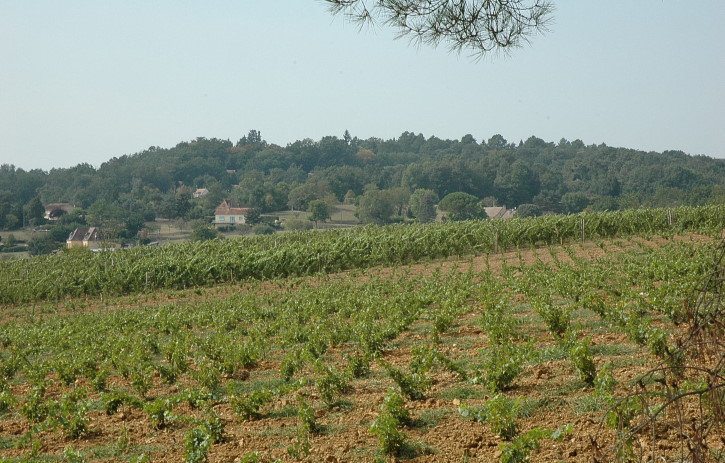 Vignoble de Pécharmant et de Rosette - Village de Lembras, sol argilo-sableux riche en fer - © M.CRIVELLARO