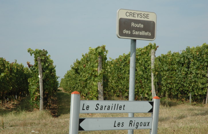 Vignoble de Rosette - Route des Saraillets - Creysse - © M.CRIVELLARO Vignoble de Rosette - Route des Saraillets - Creysse - © M.CRIVELLARO