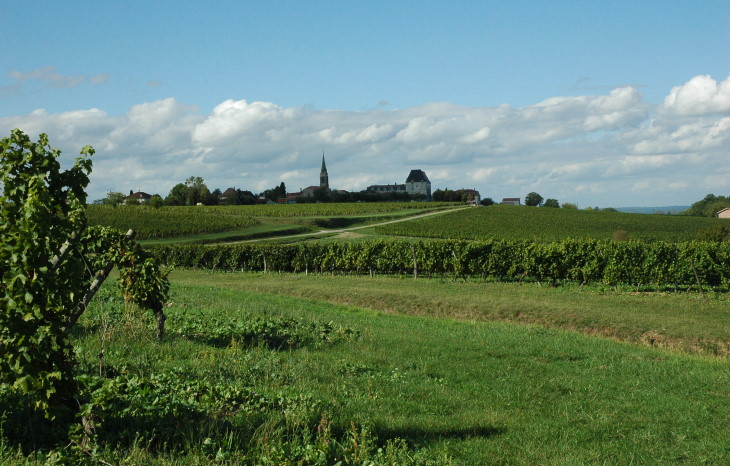 Vignoble de Saussignac au pied du village de Saussignac - © M.CRIVELLARO Vignoble de Saussignac au pied du village de Saussignac - © M.CRIVELLARO