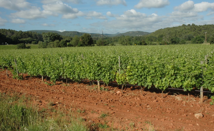 Vignoble des Corbières -  Sols rouges développés sur des sols de calcaires durs - © M.CRIVELLARO