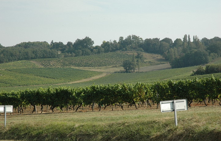 Vignoble des Côtes de Bergerac - Région de Monbazillac - © M.CRIVELLARO