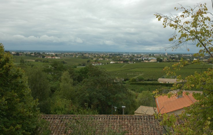 Vignoble du Blayais avec la Gironde au loin à proximité de Blaye - © M.CRIVELLARO