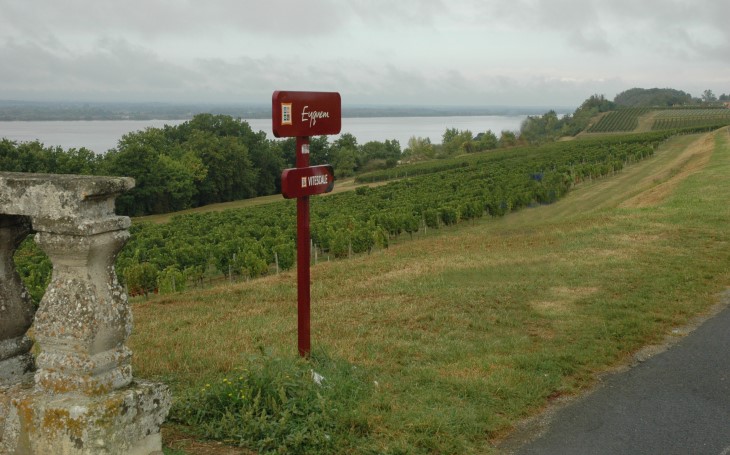 Vignoble du Bourgeais - Route de la corniche - Le vignoble de château Eyquem surplombe la Gironde -  © M.CRIVELLARO 