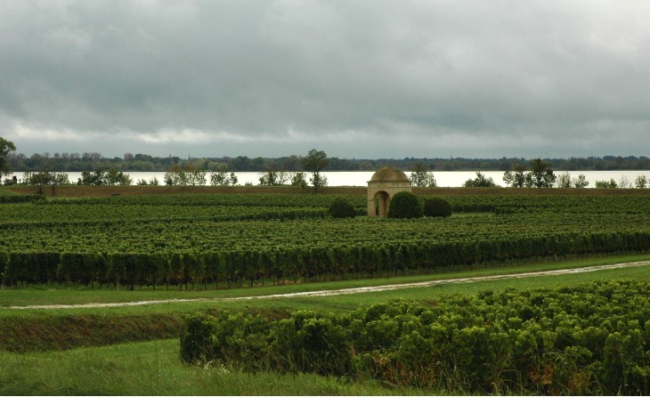 Vignoble du Bourgeais - Villeneuve - Vignes du Château de Barbe -  © M.CRIVELLARO