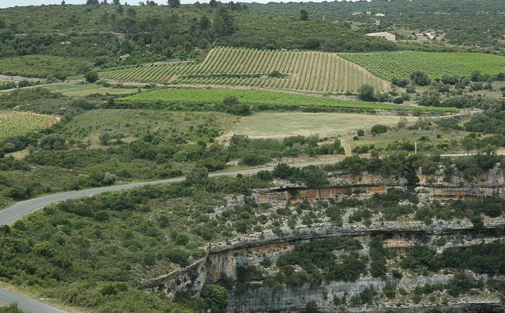 Vignoble du Minervois - En premier plan falaise de calcaires à alvéolines entre Azillanet et Minerve - © M.CRIVELLARO