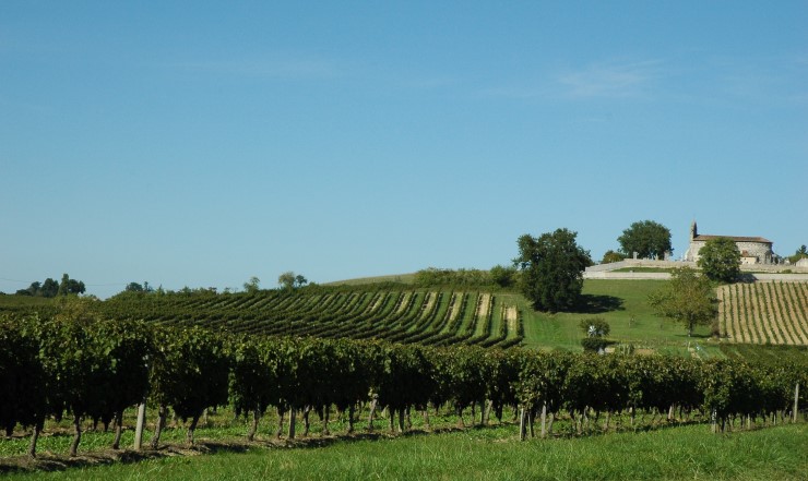 Vignoble Francs Côtes de Bordeaux au pied de l'église du village de Francs - © M.CRIVELLARO