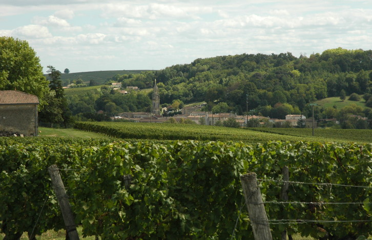 Vignoble proche de Sainte-Croix-du-Mont - © M.CRIVELLARO Vignoble proche de Sainte-Croix-du-Mont - © M.CRIVELLARO