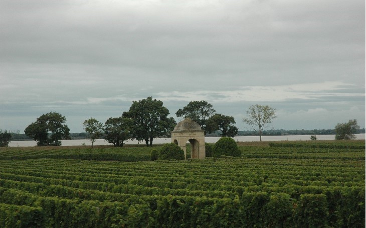 Villeneuve - Vignes de Château de Barbe -  © M.CRIVELLARO