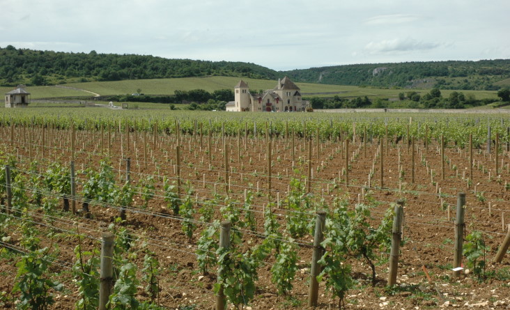 Vougeot - Château de la Tour entouré par les vignobles du Clos de Vougeot en premier plan et de Chambolle-Musigny en arrière plan - © M.CRIVELLARO