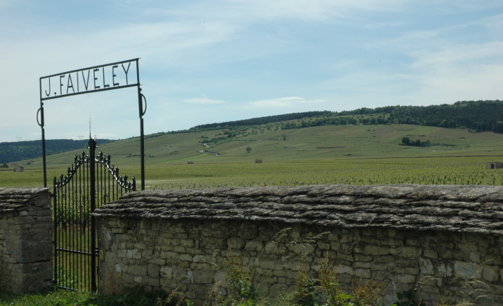 Vougeot -Vue vers les vignobles Grand Crus "Echezeaux et Grands Echezeaux" de Vosne-Romanéee - © M.CRIVELLARO