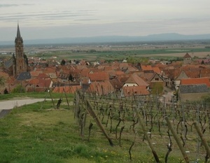 Les vignobles d'Alsace: De Marlenheim à Riquewihr -  