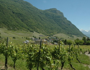 Les vignobles de la Cluse de Chambéry et de la Combe de Savoie.
