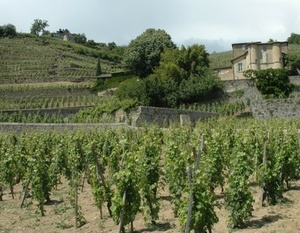 D'Ampuis à Sisteron