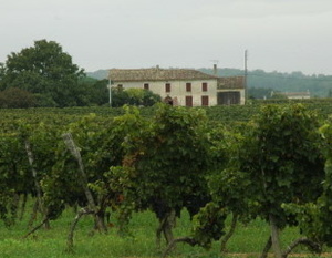 Salleboeuf - Vignoble des Premières Côtes de Bordeaux  - 