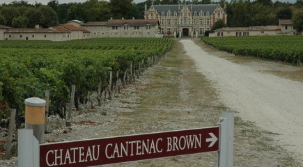 Médoc - Vignobles de Margaux - Château Cantenac Brown