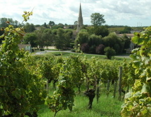  Sauternes - Vue du village de Sauternes entouré de vignes -