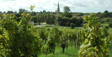  Sauternes - Vue du village de Sauternes entouré de vignes -
