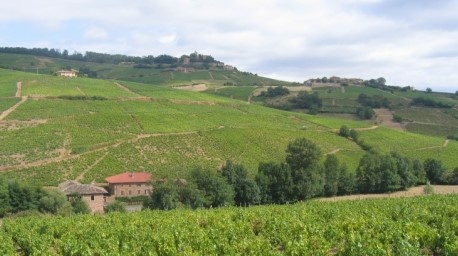 Beaujolais - Vignoble de Brouilly Beaujolais - Vignoble de Brouilly