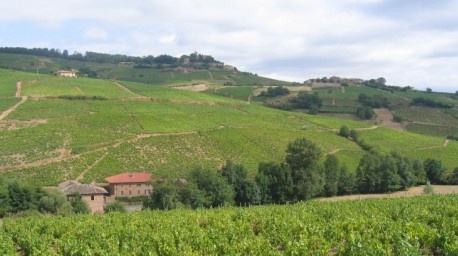 Beaujolais - Vignoble de Brouilly