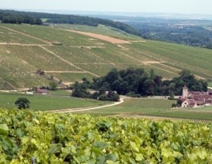 Chablis - Vignobles Domaine Daniel-Etienne Defaix