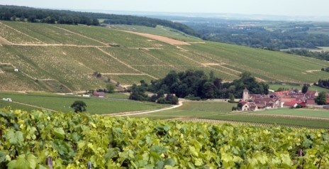 Chablis - Vignobles Domaine Daniel-Etienne Defaix Chablis - Vignobles Domaine Daniel-Etienne Defaix