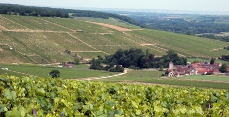 Chablis - Vignobles Domaine Daniel-Etienne Defaix