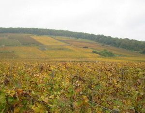 Côte de Nuits - Vignoble de gevrey-Chambertin - Auteur Arnaud 25 - Wikipédia