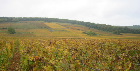 Côte de Nuits - Vignoble de gevrey-Chambertin - Auteur Arnaud 25 - Wikipédia