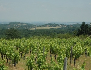 Coteaux du Lyonnais à Dardilly