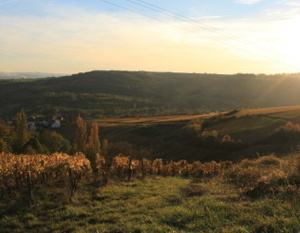 Vignoble des Hautes Côtes de Beaune 